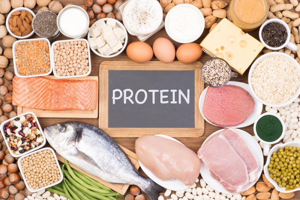 Các loại thức ăn protein đến từ thực vật thay cho động vật