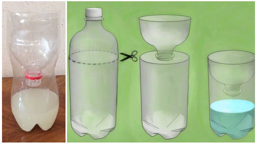 Bẫy ruồi bằng chai nhựa