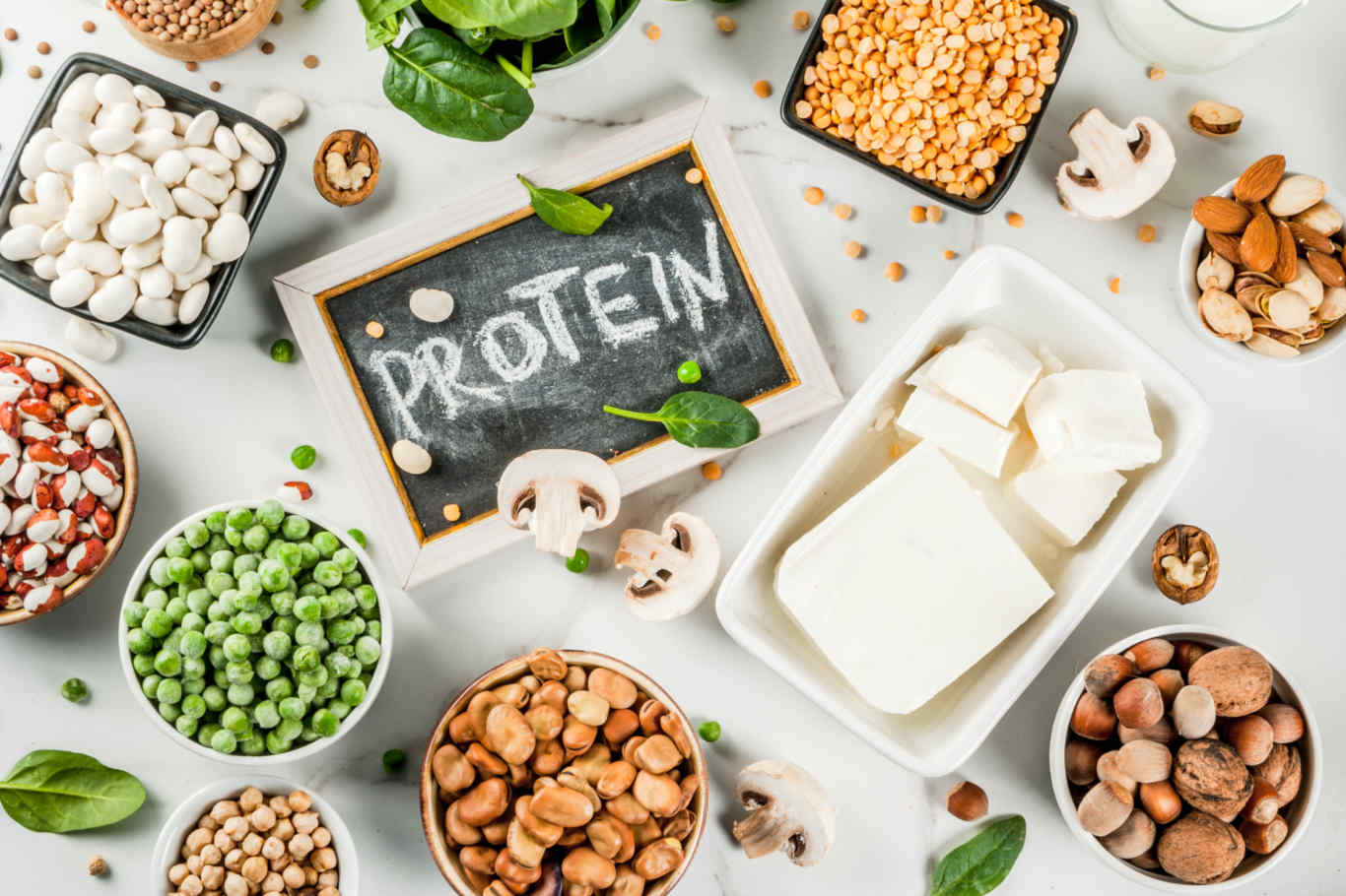 Bổ sung nhiều thức ăn chưa Protein cho cơ thể